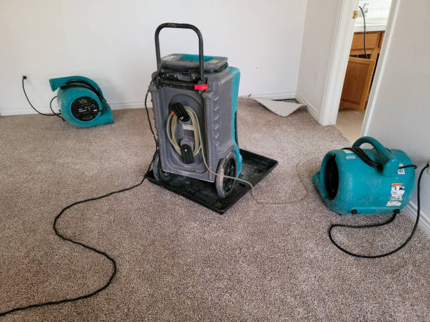 Best Mold removal after water damage  in Lake Kiowa, TX