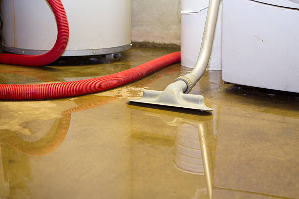 Best Flood damage cleanup  in Lake Kiowa, TX