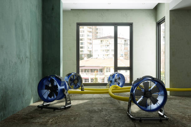 Best Water damage contractors near me  in Lake Kiowa, TX